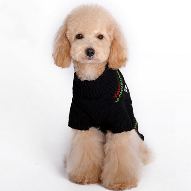 Apricot poodle sitting in a black knitted Rudolph reindeer Christmas sweater