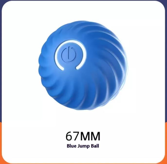 Bouncy Rubber Ball for Dogs