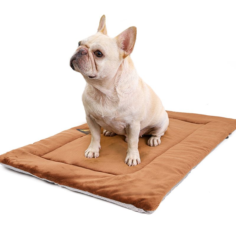 French bulldog sitting on a brown self-warming pet mat – TailoraStyle