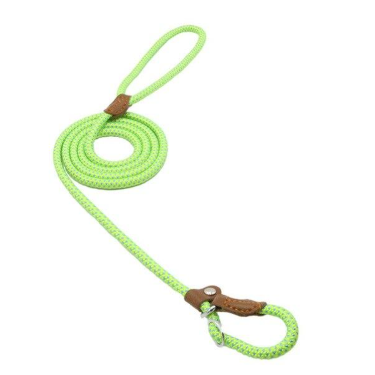 Nylon Dog Collar & Lead Set