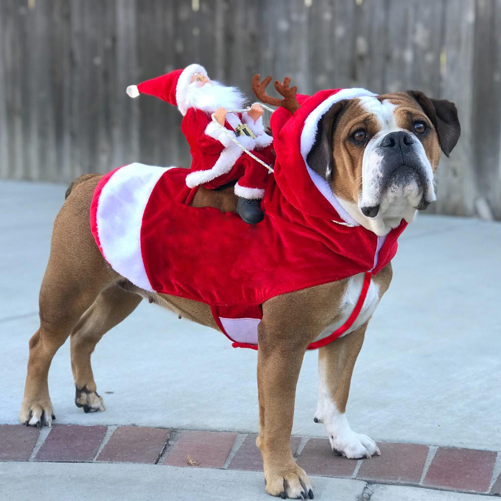 Bulldog wearing a red hooded Santa Riding Reindeer dog costume with reindeer antlers and a Santa figure on its back