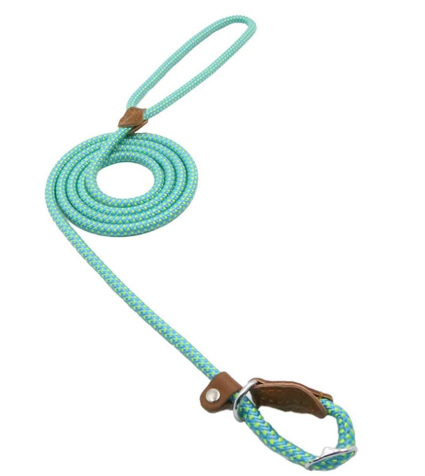 Nylon Dog Collar & Lead Set