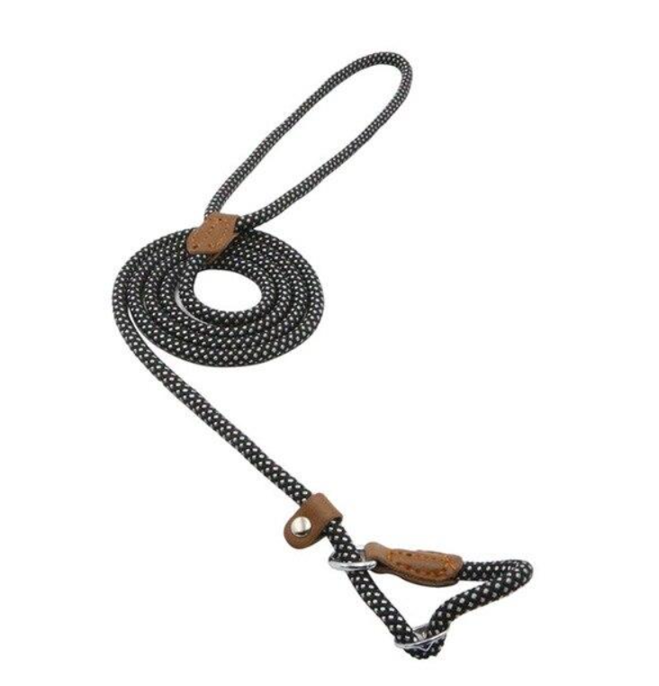 Nylon Dog Collar & Lead Set