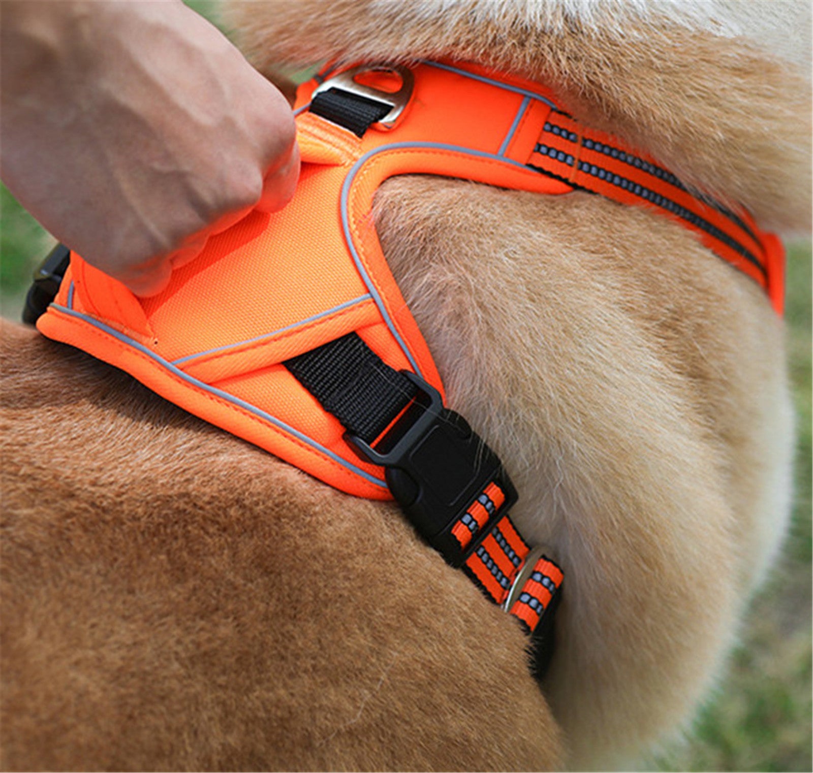Waterproof Dog Harness with Handle – Reflective, No-Pull, Adventure-Ready
