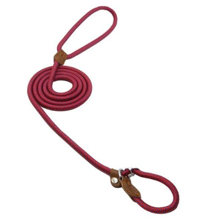 Nylon Dog Collar & Lead Set