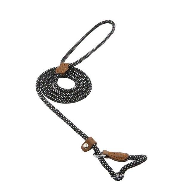 Nylon Dog Collar & Lead Set