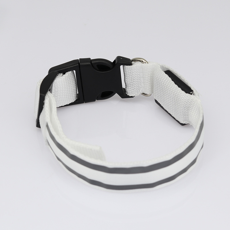 LED luminous dog collar secure buckle closure