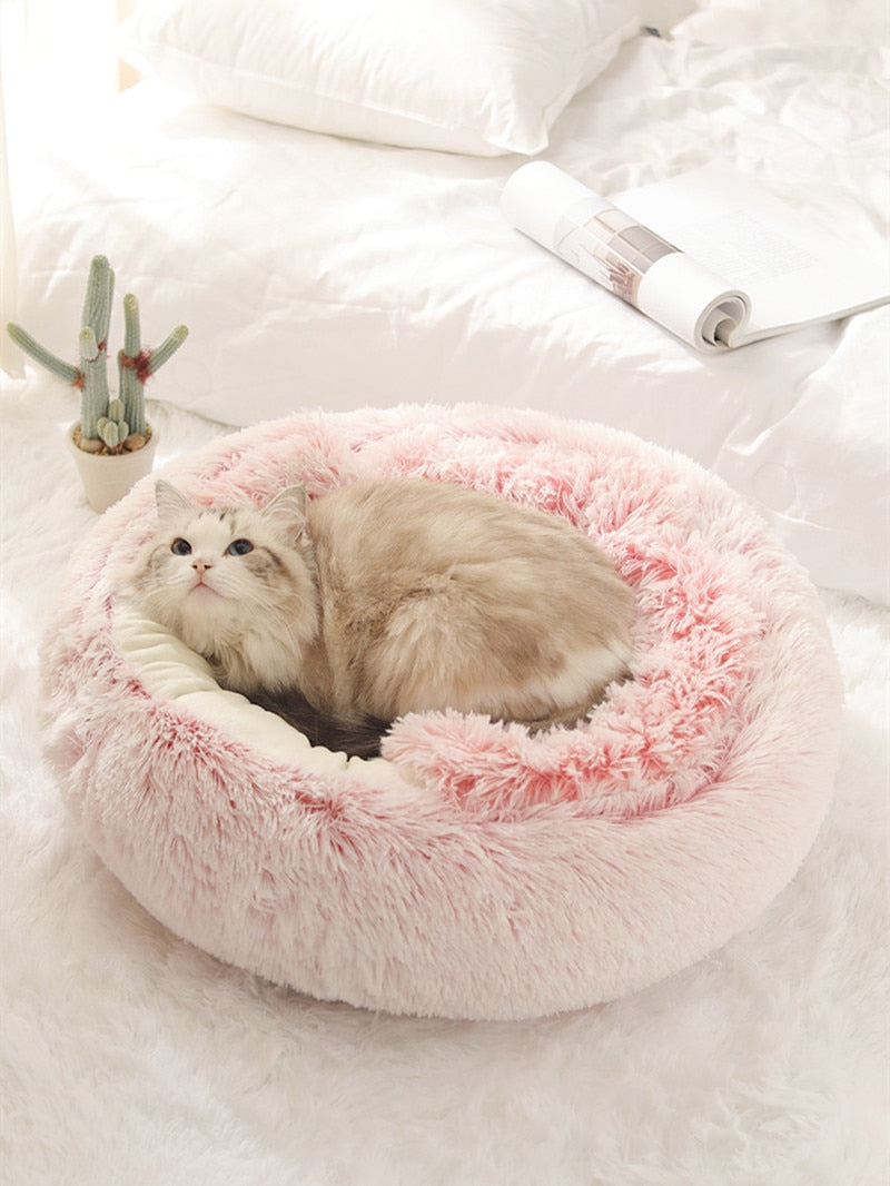 2-in-1 Convertible Pet Bed