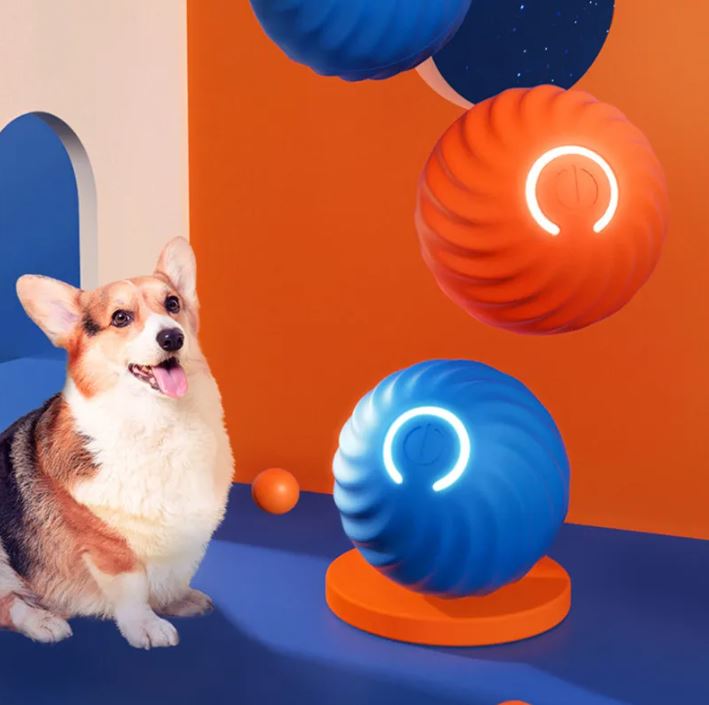 Bouncy Rubber Ball for Dogs