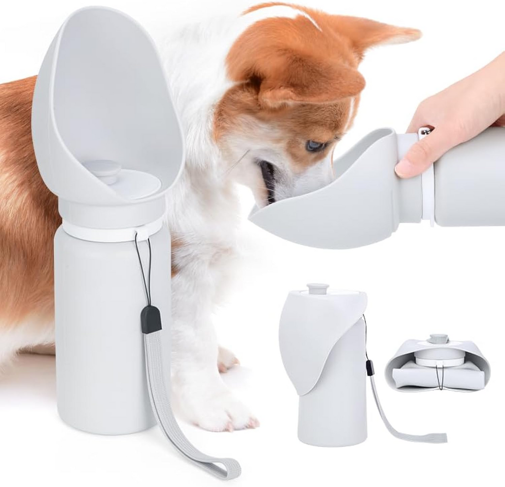Corgi drinking from a grey portable dog water bottle with fold-out bowl and carry lanyard – TailoraStyle
