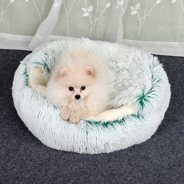 2-in-1 Convertible Pet Bed