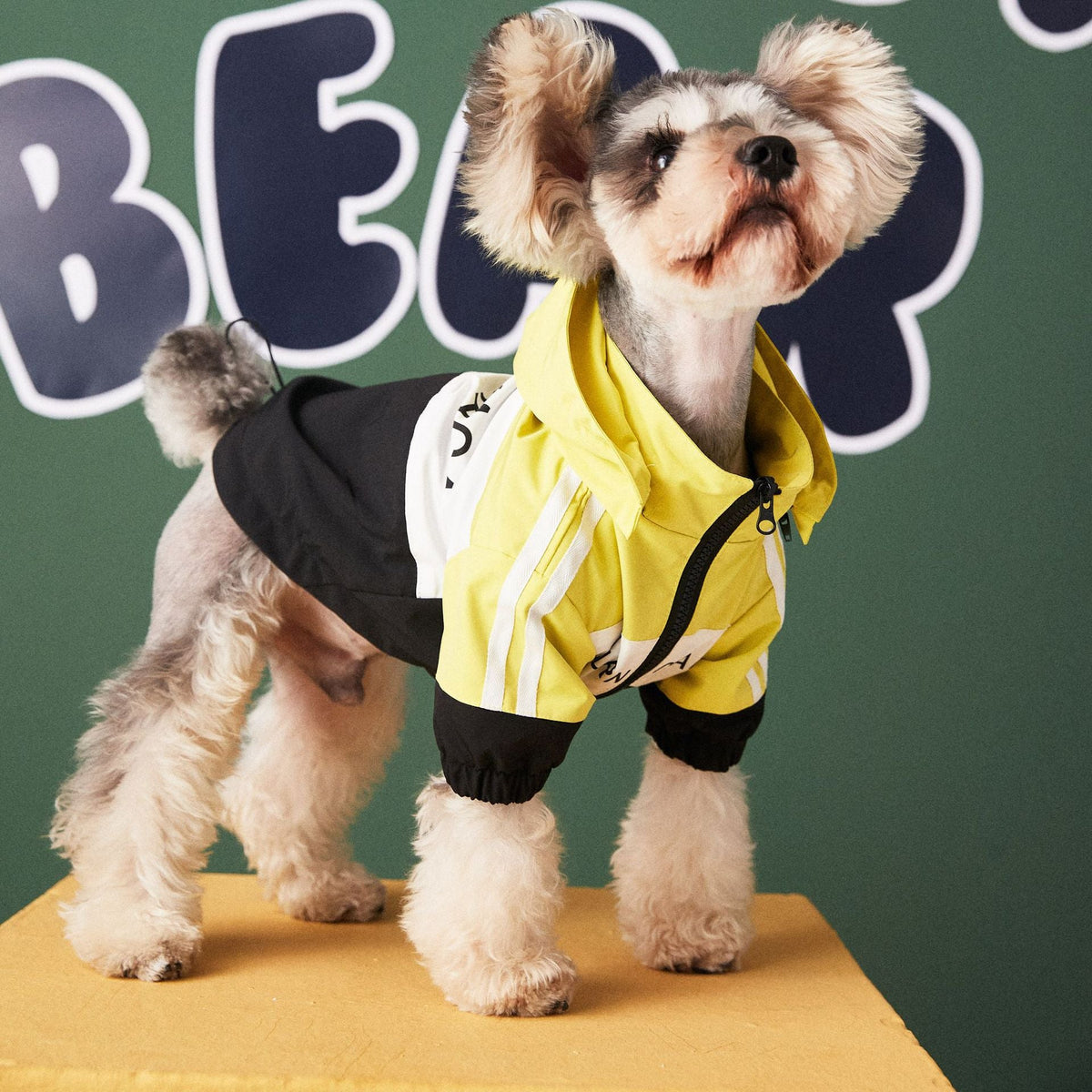 Waterproof dog raincoat jacket in yellow, size range XS to XL