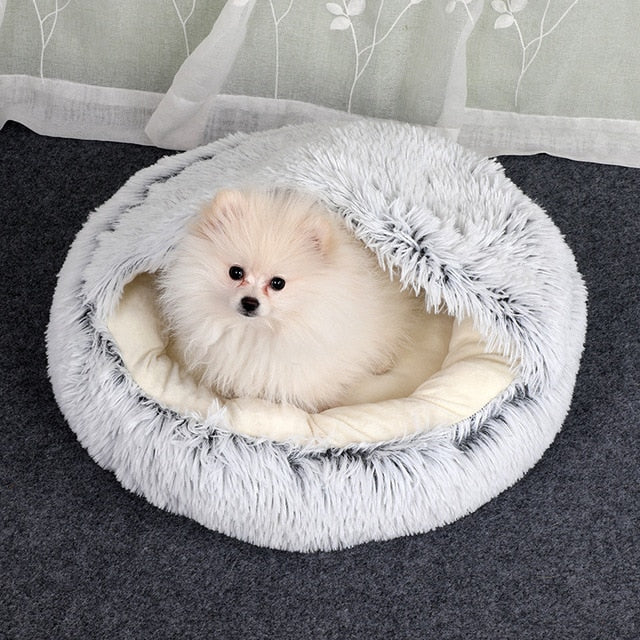 2-in-1 Convertible Pet Bed