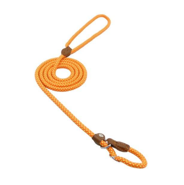 Nylon Dog Collar & Lead Set