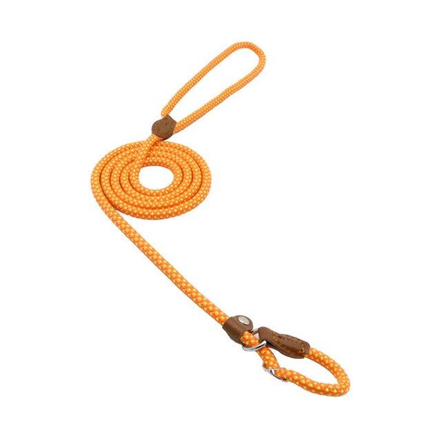 Nylon Dog Collar & Lead Set