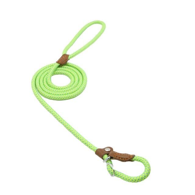 Nylon Dog Collar & Lead Set