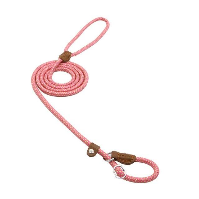 Nylon Dog Collar & Lead Set