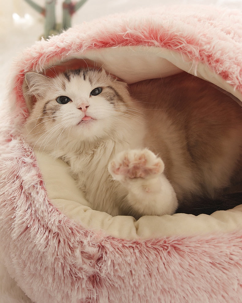 2-in-1 Convertible Pet Bed