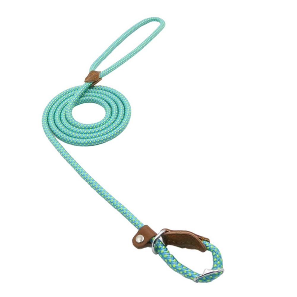 Nylon Dog Collar & Lead Set