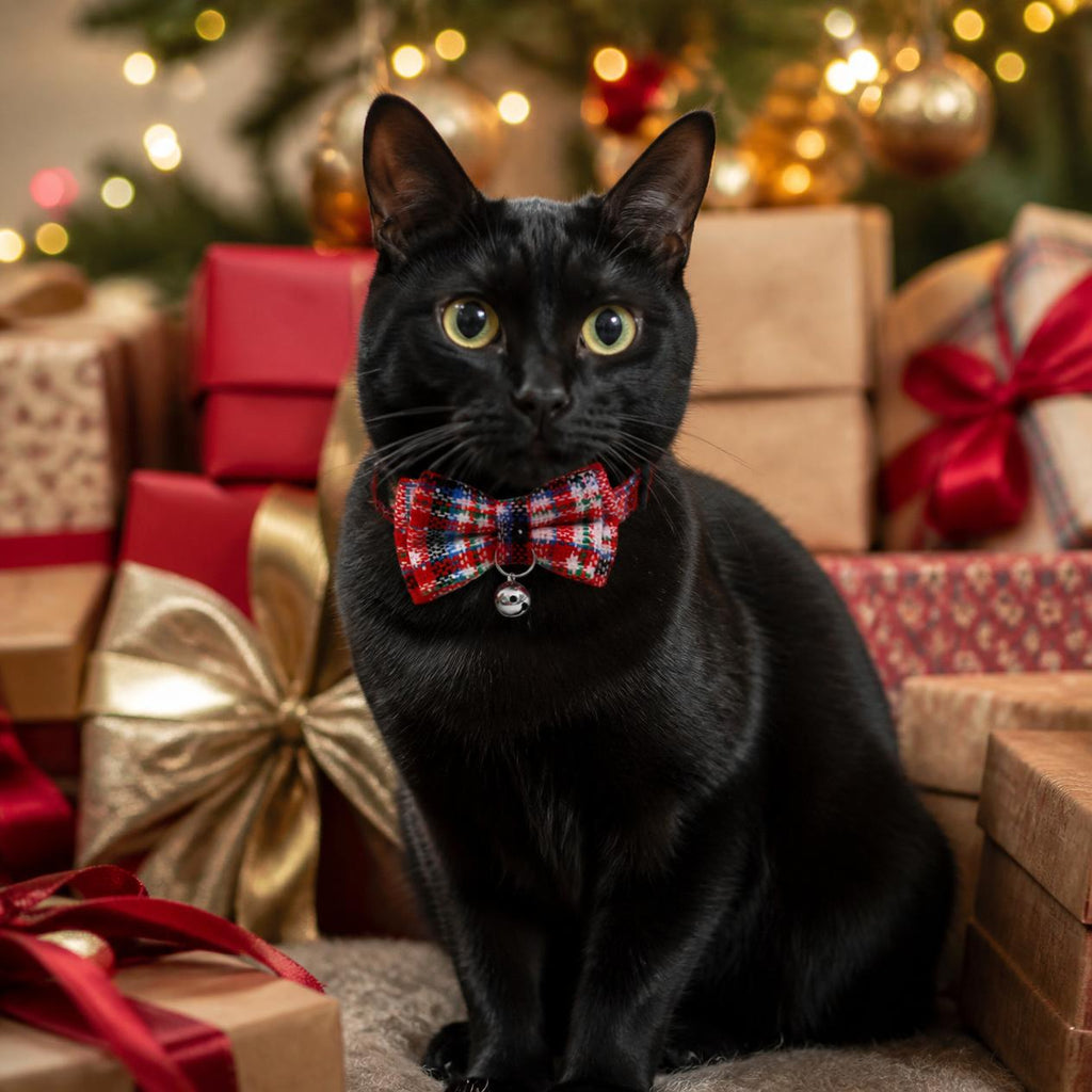 Black cat wearing a red tartan Christmas cat collar with plaid bow tie and bell among wrapped presents