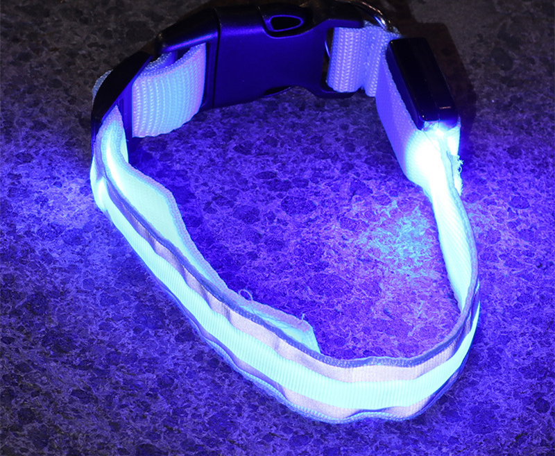 Anti-lost LED luminous rechargeable dog collar
