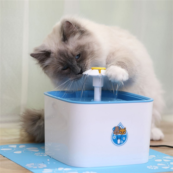 Pet water fountain plug types EU US UK AU