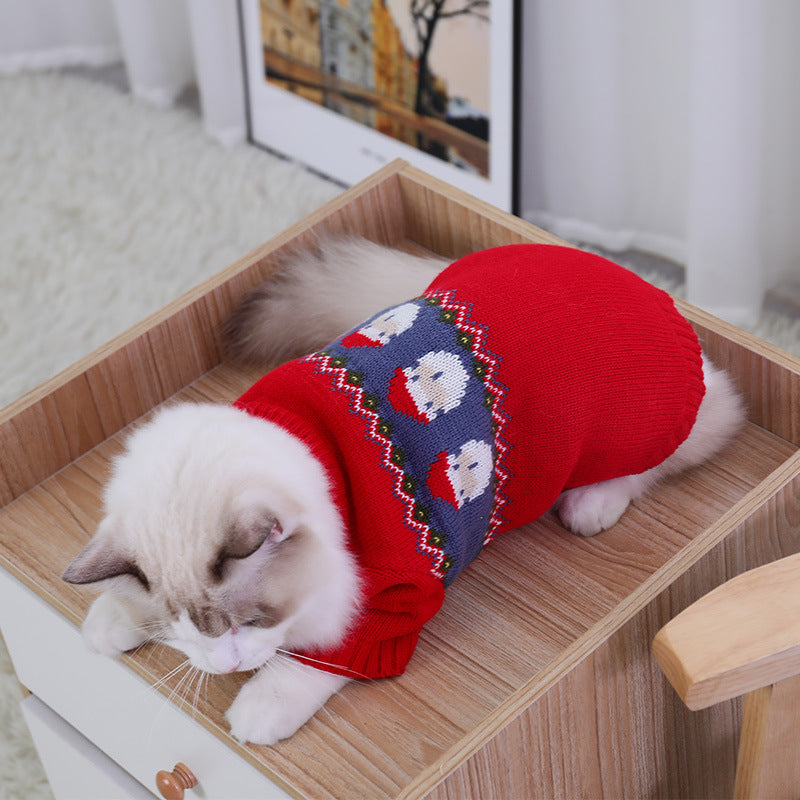 Cat in a red Christmas jacquard sweater lying down in a wooden box