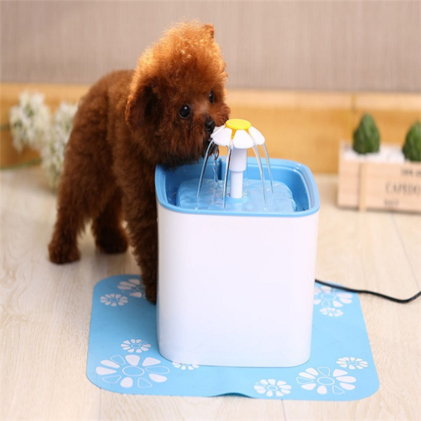 Dog drinking from electric water fountain dispenser