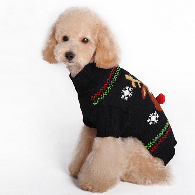 Side view of an apricot poodle wearing a black Rudolph reindeer Christmas sweater with red pom-pom nose