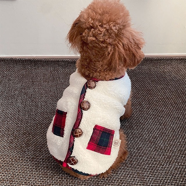 Small curly brown dog wearing a white fleece Christmas vest coat with red plaid pockets, seen from behind