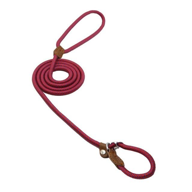 Nylon Dog Collar & Lead Set