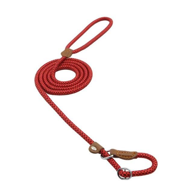 Nylon Dog Collar & Lead Set